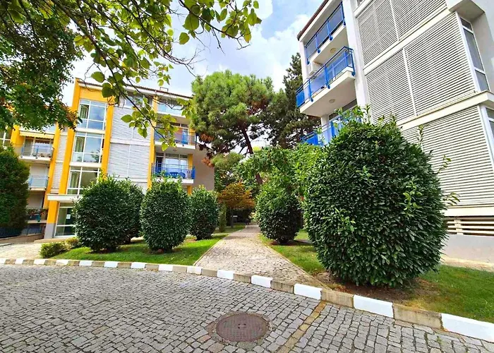 Family Elit1 * サニービーチ