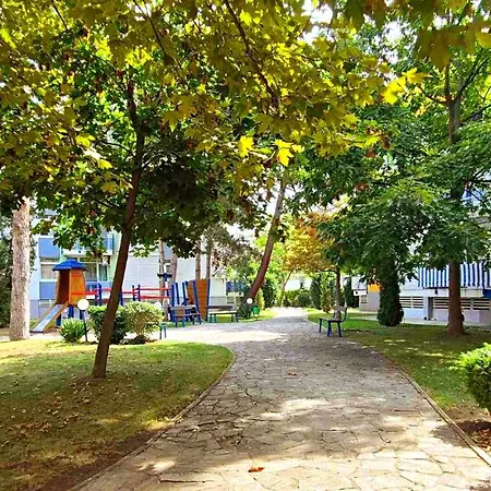 Family Elit1 ساني بيتش